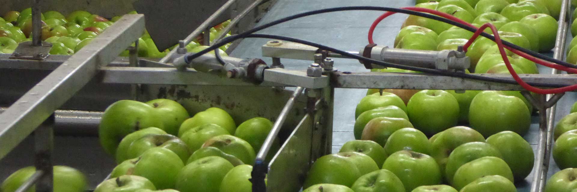 Glass Bros Apple Production